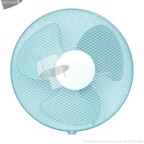 Image of Fan picture