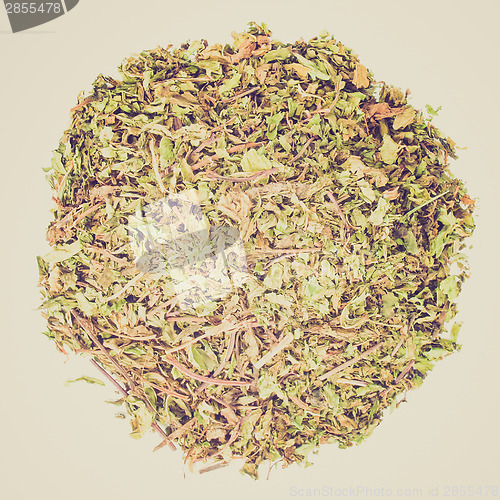 Image of Retro look Dried peppermint