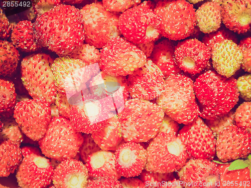 Image of Retro look Strawberries