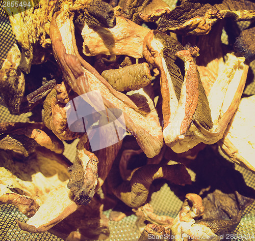 Image of Retro look Mushrooms