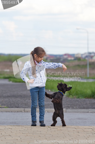 Image of Little girl training a dog