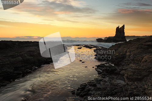 Image of Cathedral Rocks, Kiama, Australia