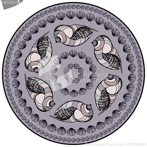 Image of  Mandala made of Seashells.