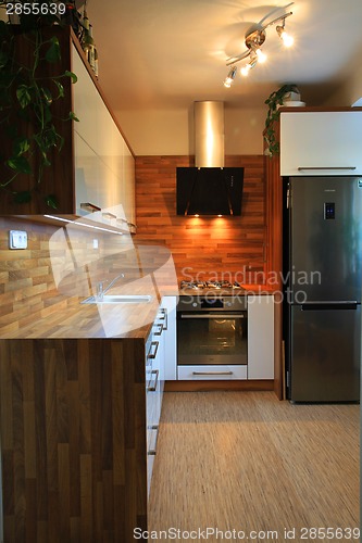 Image of modern kitchen interior 