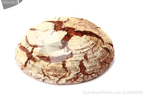 Image of czech bread isolated 