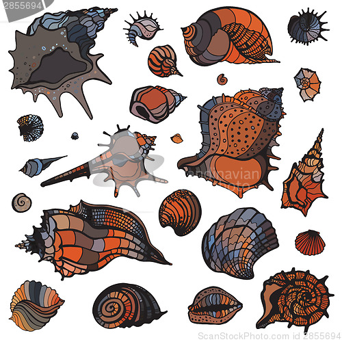 Image of Sea shells set.