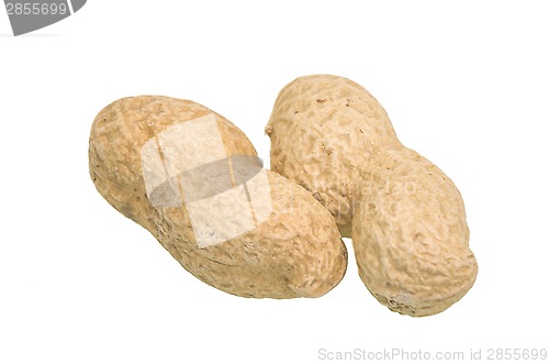 Image of Peanuts