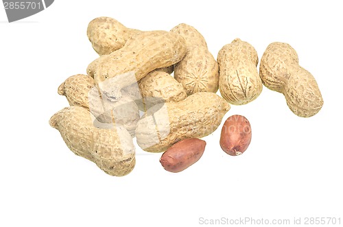 Image of Group of peanuts