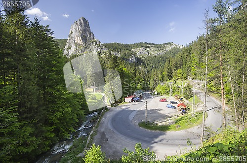 Image of Curvy road through forest