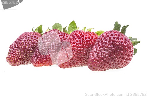 Image of Fresh strawberry on white