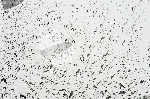 Image of Water drops