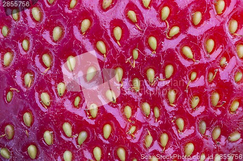 Image of Strawberry background