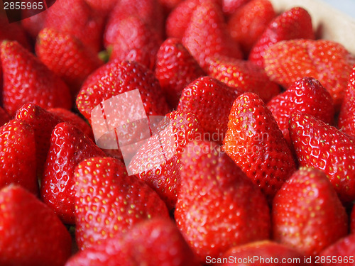 Image of Strawberries fruits