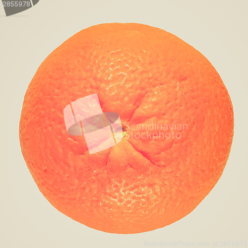Image of Retro look Orange fruit