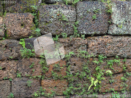 Image of wall detail at Angkor Thom