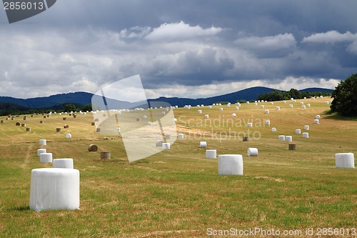 Image of czech autumn country with straw bales 