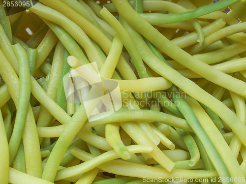 Image of Green bean