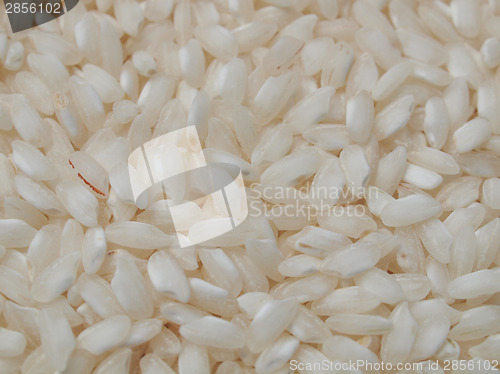 Image of Rice food