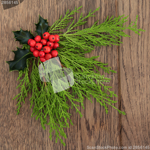 Image of Winter Flora