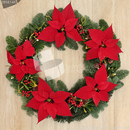 Image of Poinsettia Wreath