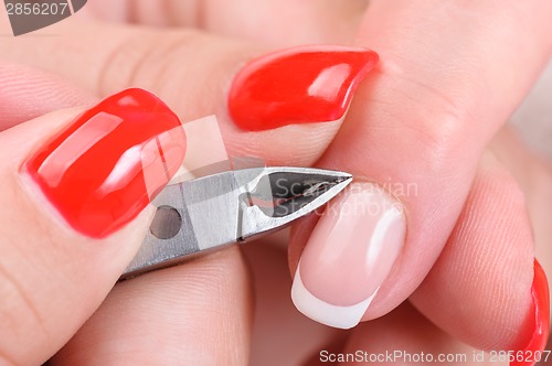 Image of manicure applying - cutting the cuticle 