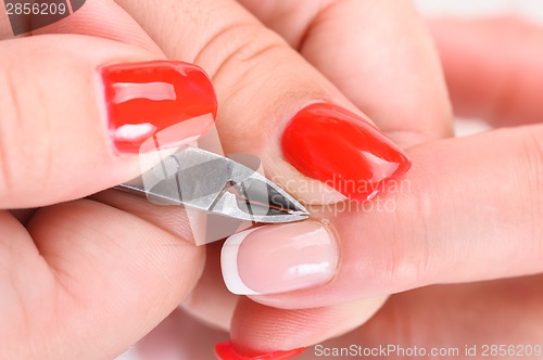 Image of manicure applying - cutting the cuticle 