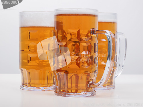 Image of Lager beer