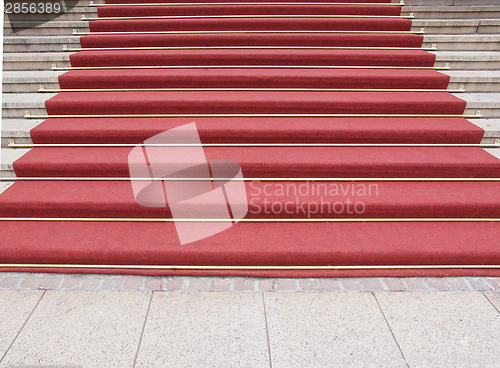 Image of Red carpet