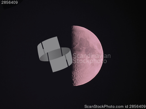 Image of First quarter pink moon