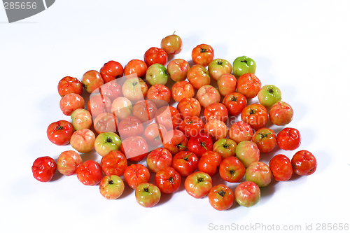 Image of fresh fruit