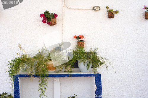 Image of Wall decorated with flowers in pots