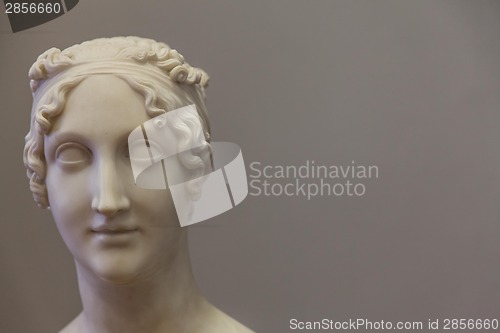 Image of Classical beauty