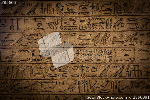 Image of Hieroglyph