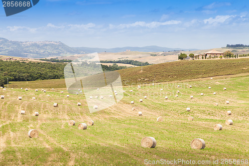 Image of Tuscany country