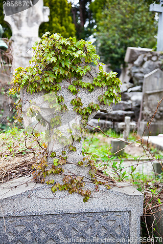 Image of Cemetery architecture - Europe