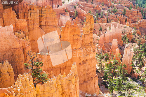 Image of Bryce Canyon