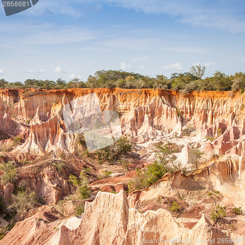 Image of Marafa Canyon - Kenya