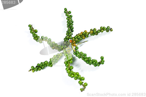 Image of green peppercorn