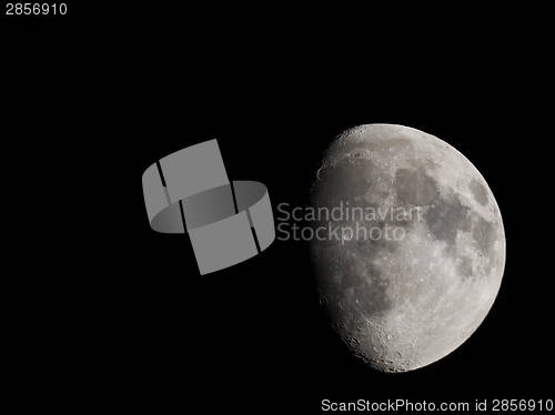 Image of Gibbous moon