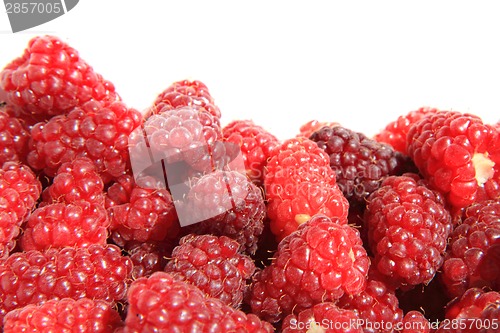 Image of big red raspberries background