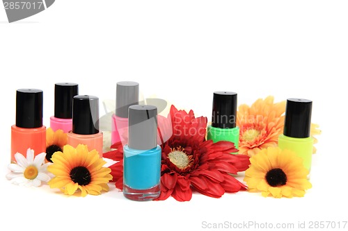 Image of nail polish (color set)