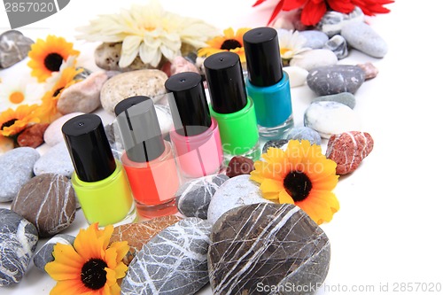 Image of nail polish (color set)