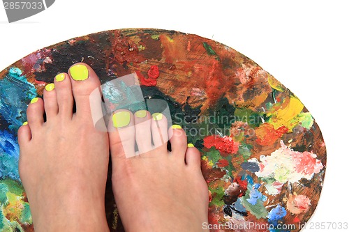 Image of colored nails (pedicure) and color palette 