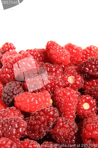 Image of big red raspberries background