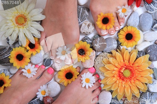 Image of woman legs (pedicure - colored nails)