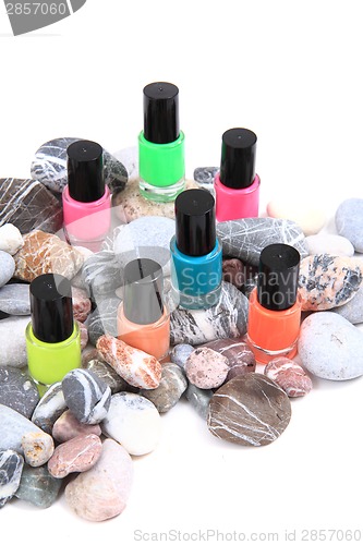 Image of nail polish (color set)
