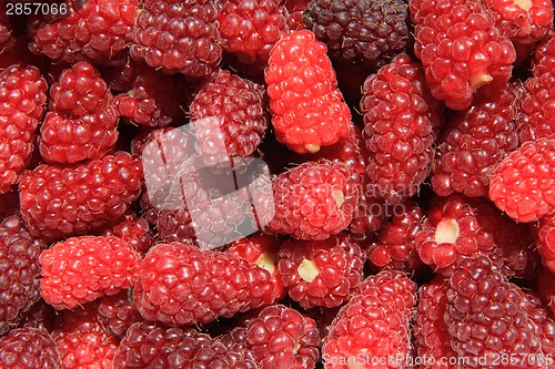 Image of big red raspberries background