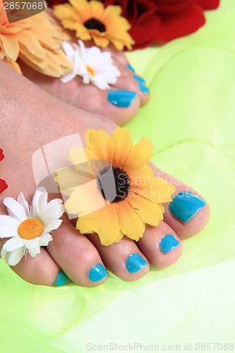Image of woman legs (pedicure - colored nails)