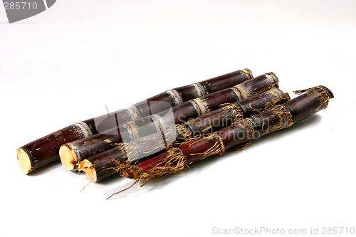 Image of sugar cane