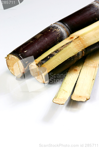 Image of sugar cane